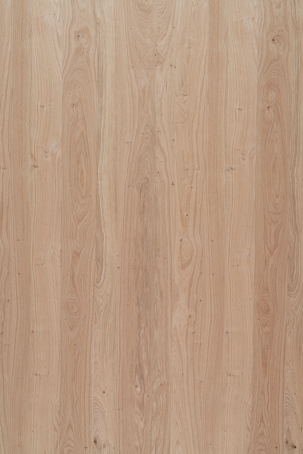 Faneruota plokštė, ąžuolo lukštas