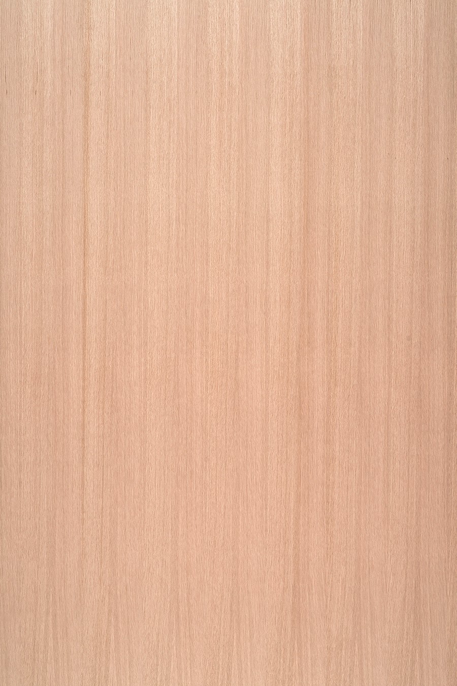 Natūralus lukštas ąžuolas rift Faneruota plokštė, ąžuolo lukštas, rift