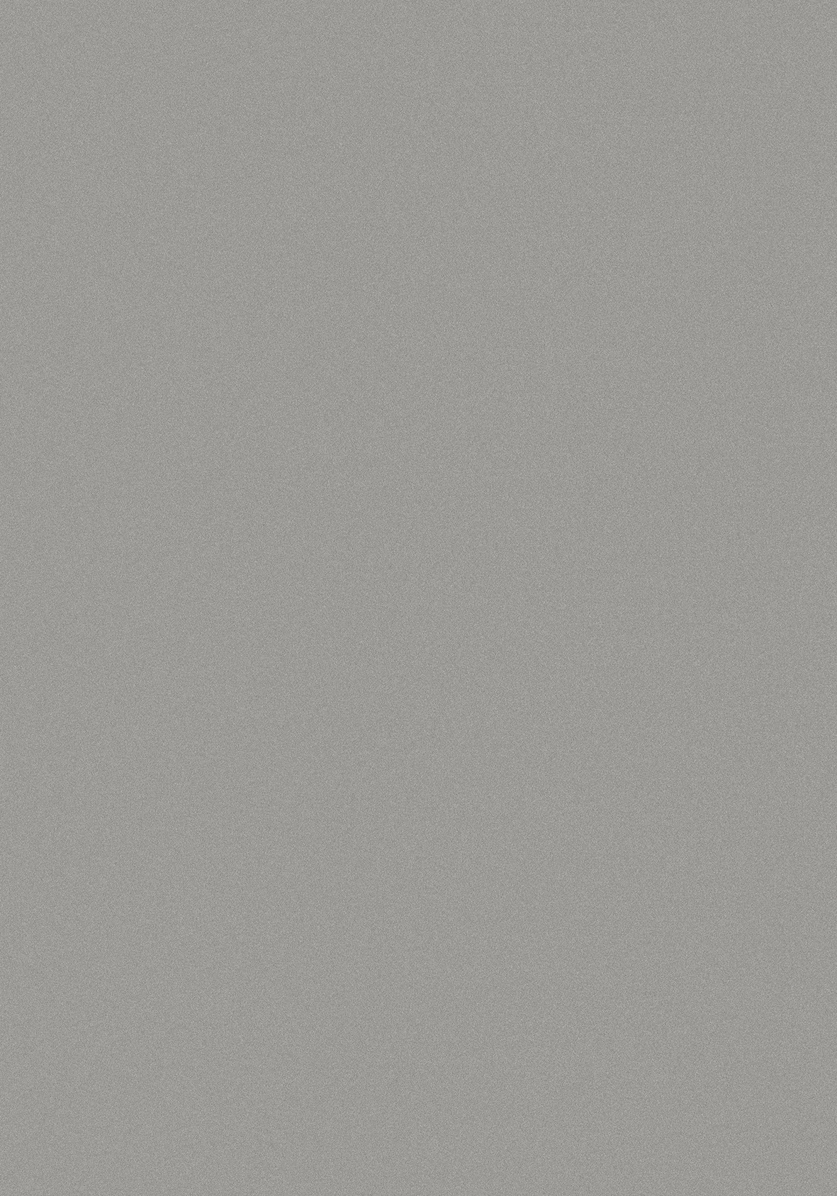 27193 PE - Platinos pilka, perlo str.-image