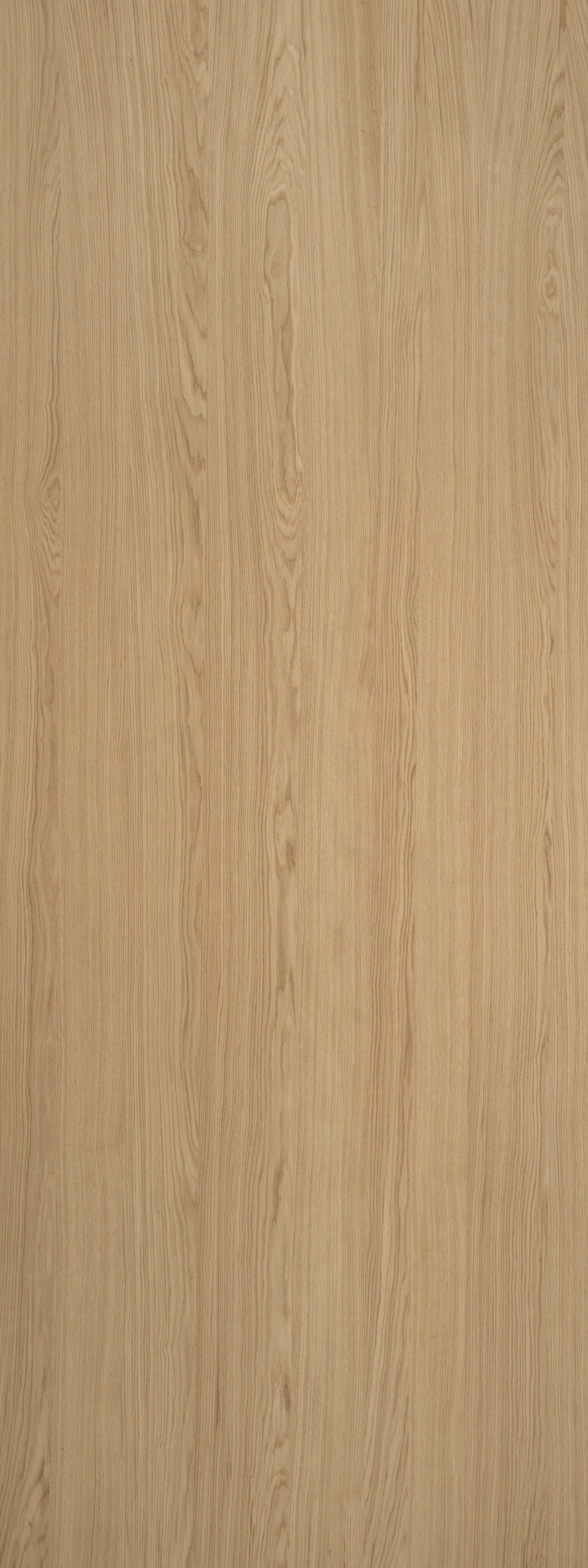 163.02 Ąžuolas išraiškingas-image