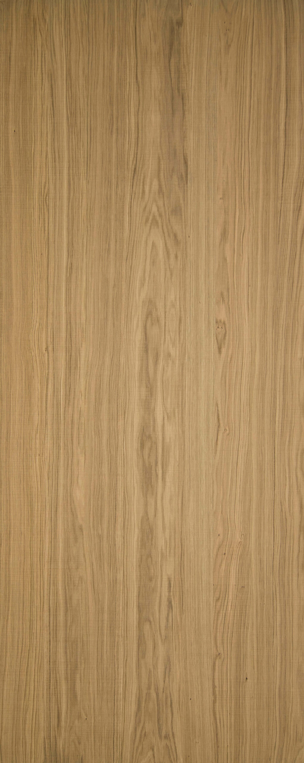 168.02 Ąžuolas pjautas-image