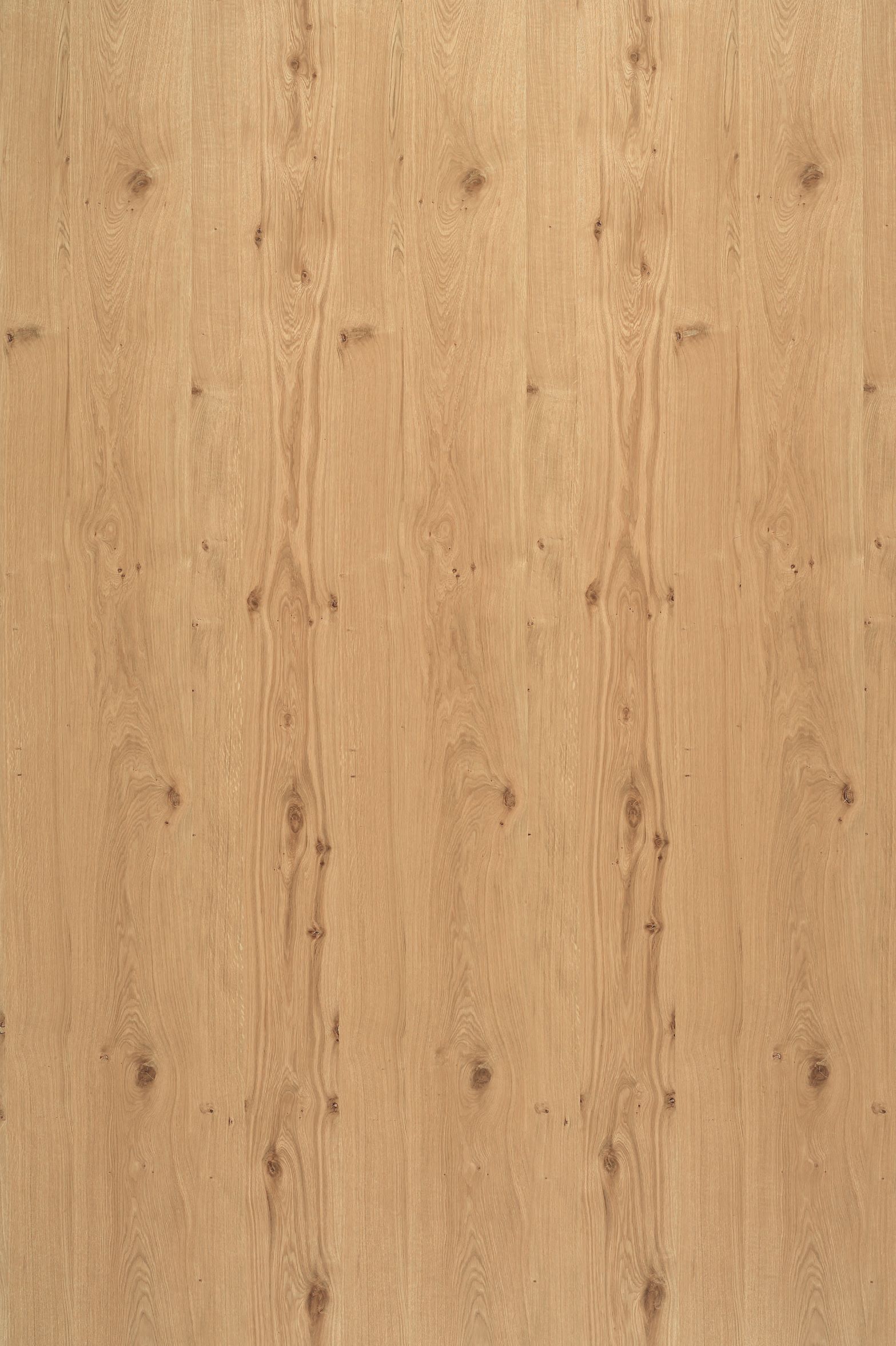 Šakotas ąžuolo lukštas interjerui