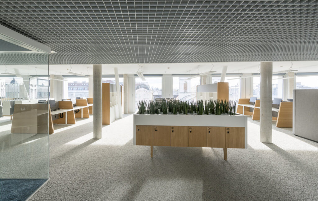 Ąžuolo lukštas interjere spintelė