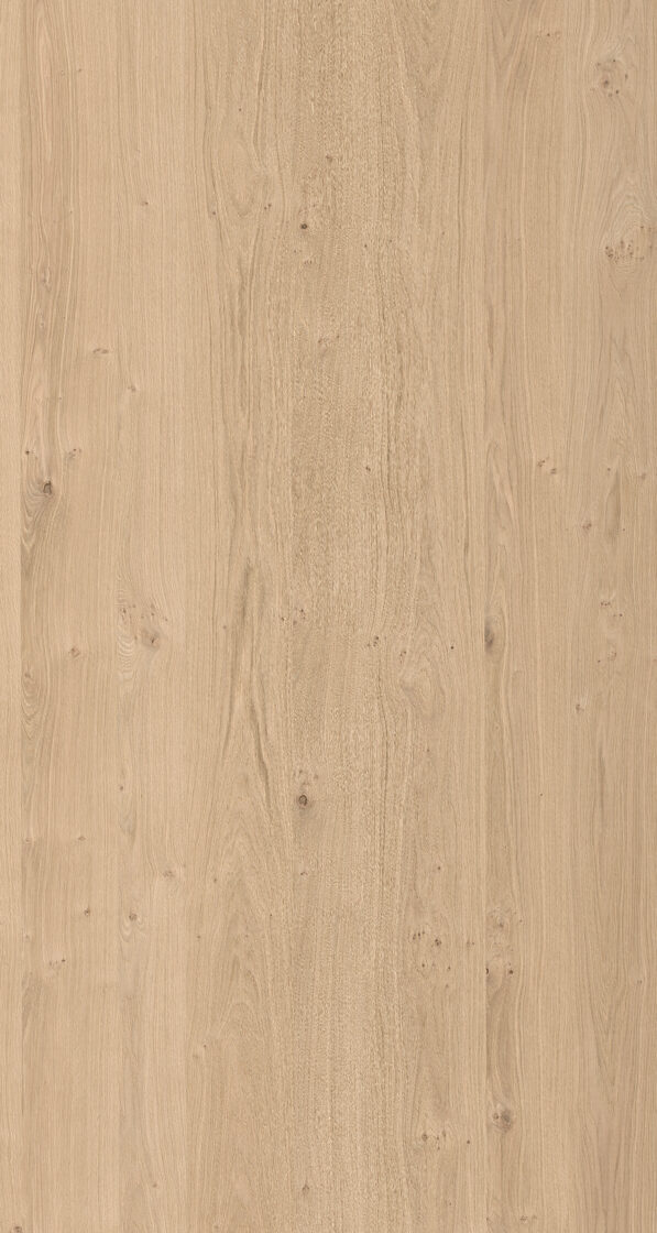 Ąžuolo lukštas šakotas