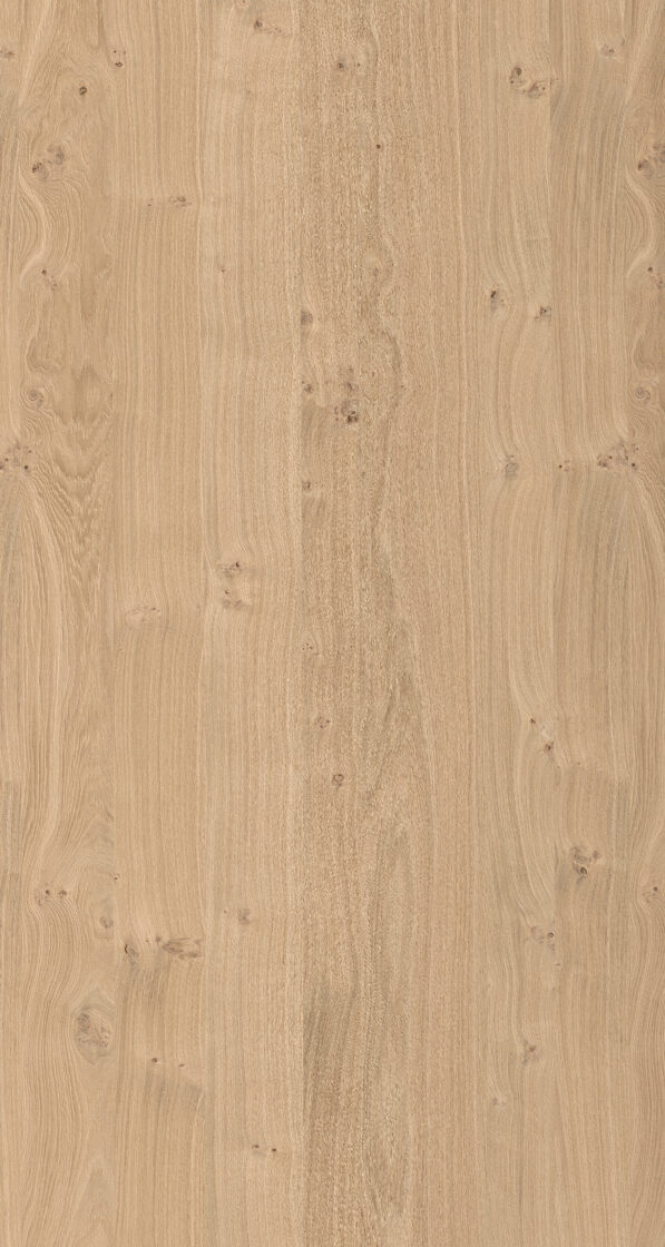 Ąžuolo lukštas šakotas