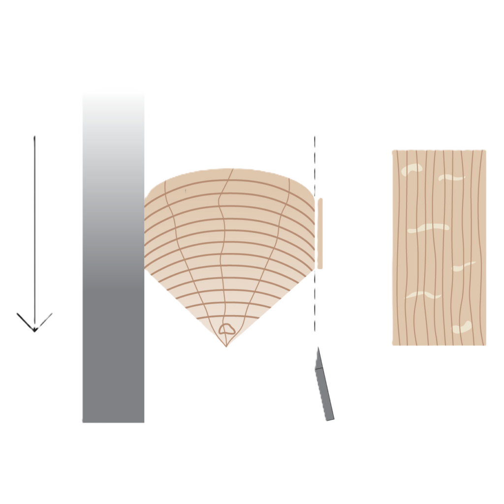radialinio pjūvis schema radialinis pjūvis schema