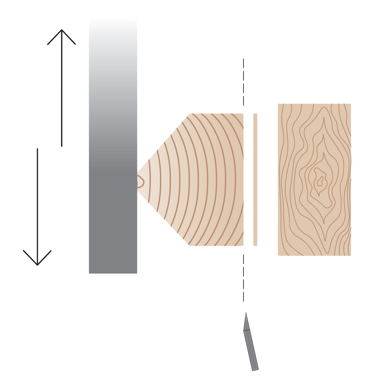 Kaip išsirinkti medienos lukštą?